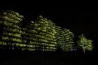Projektion 42, Dark Light, Spring