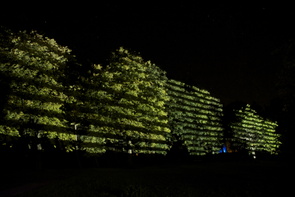 Projektion 42, Dark Light, Spring